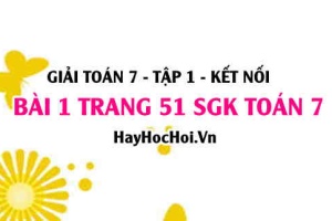 Giải bài 1 trang 51 Toán 7 Tập 1 SGK Cánh Diều: Làm tròn số